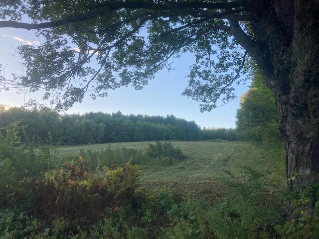 153 Holmes Road Dover-foxcroft ME 04426