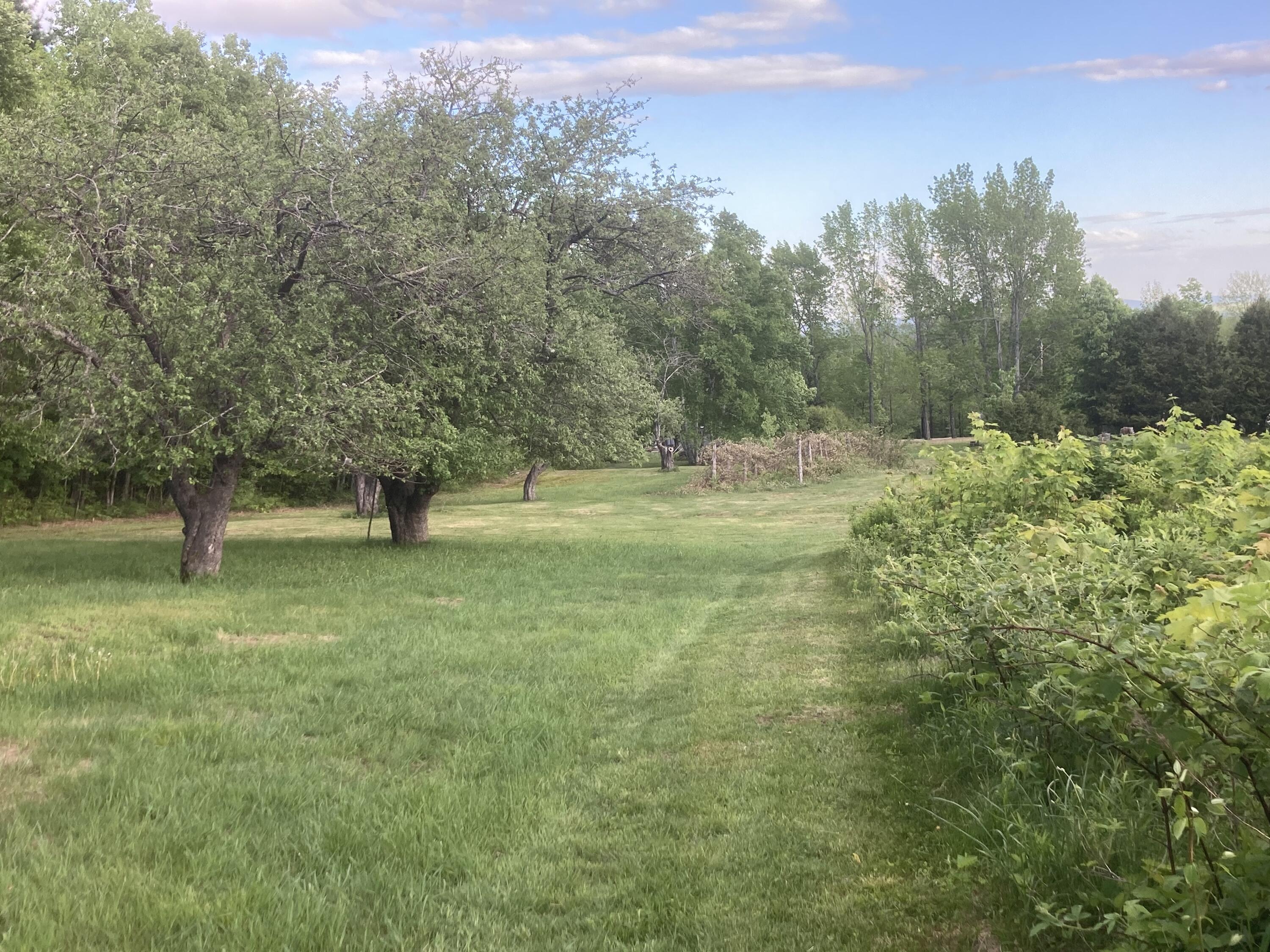 153 Holmes Road Dover-foxcroft ME 04426