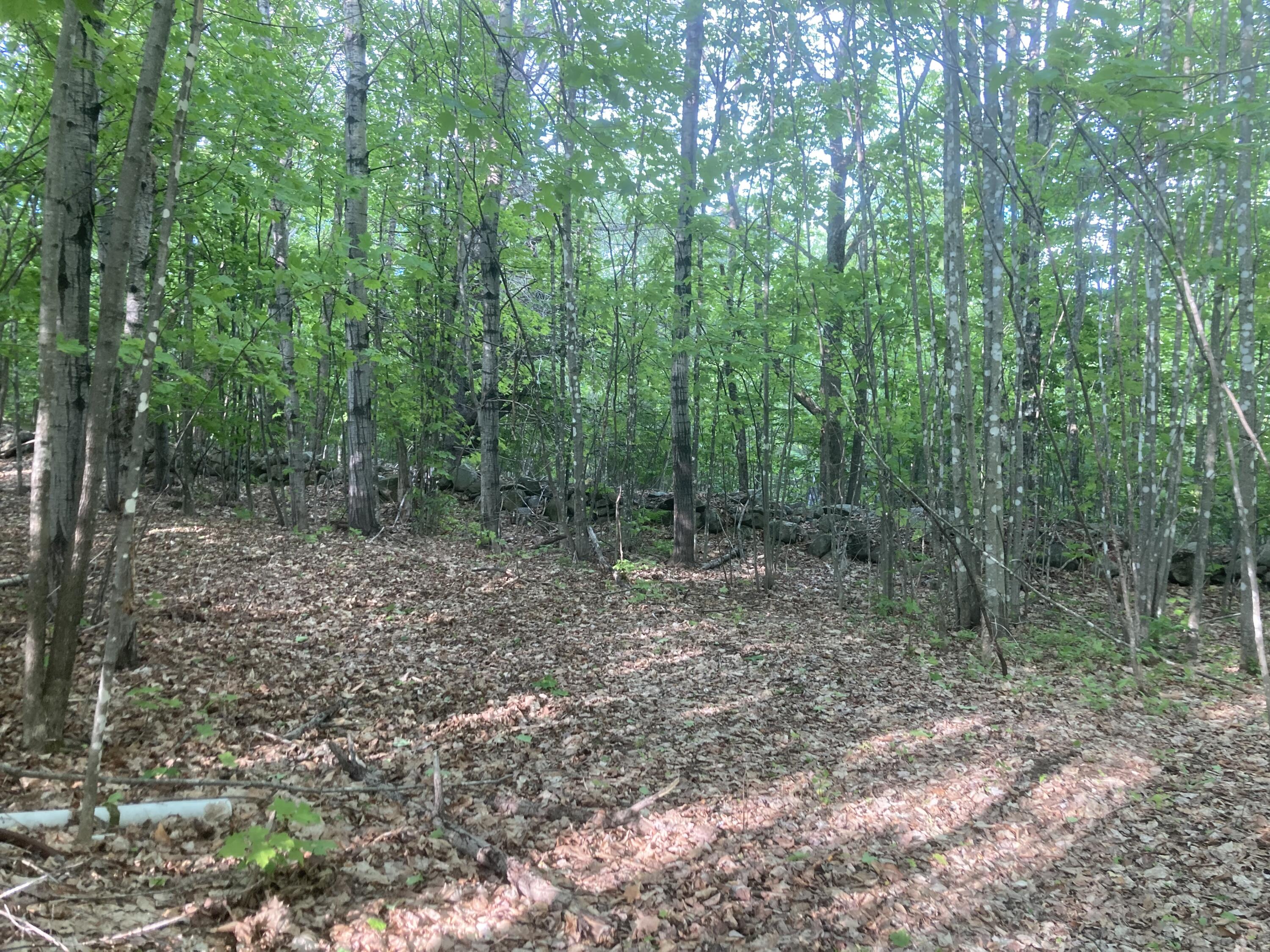 153 Holmes Road Dover-foxcroft ME 04426