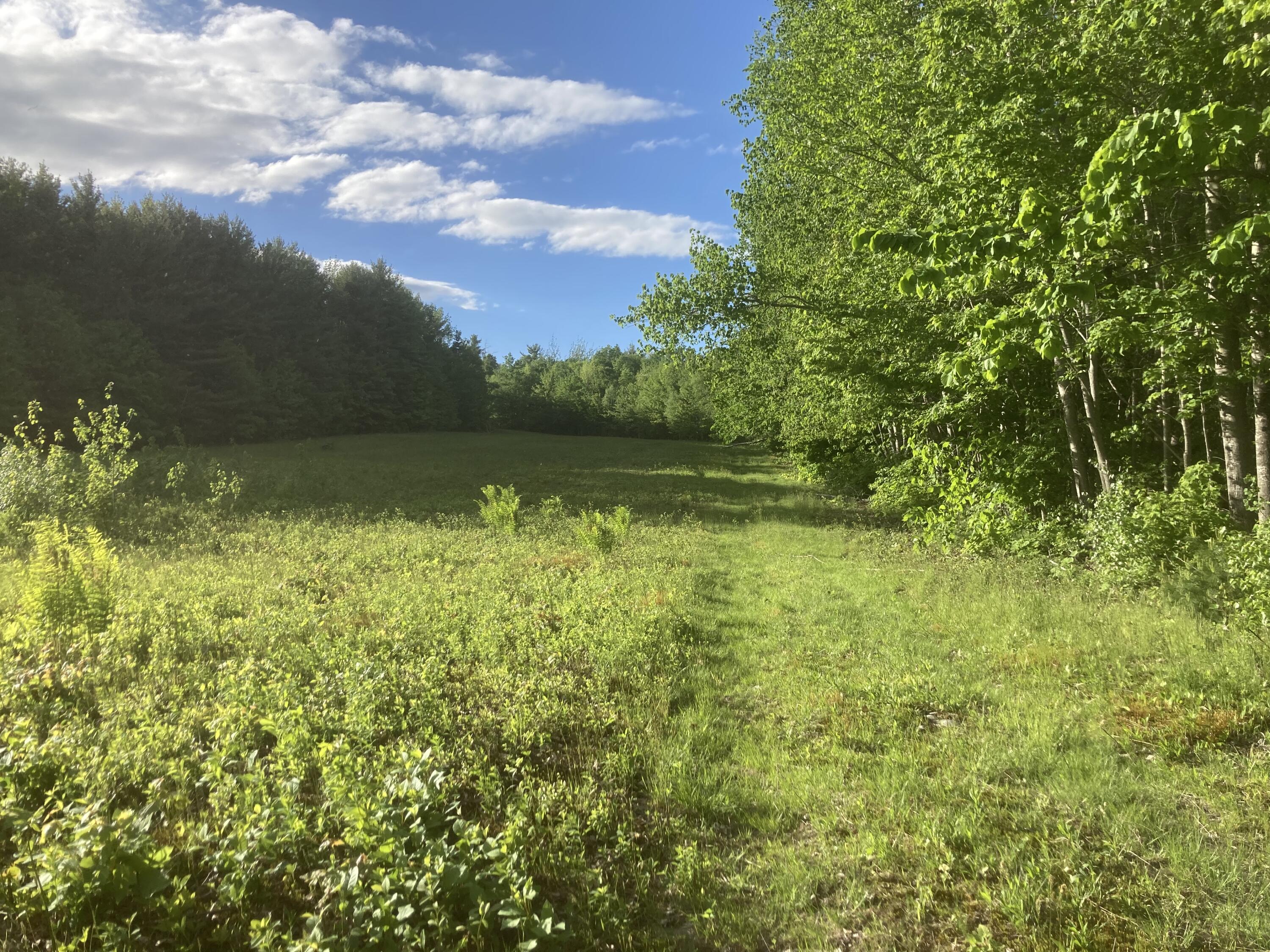 153 Holmes Road Dover-foxcroft ME 04426