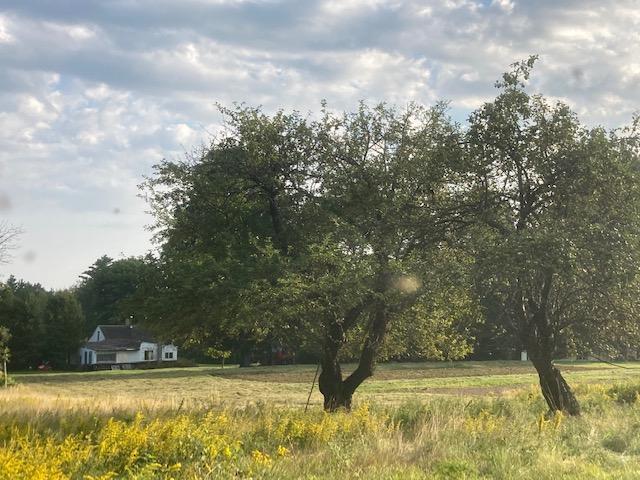 153 Holmes Road Dover-foxcroft ME 04426