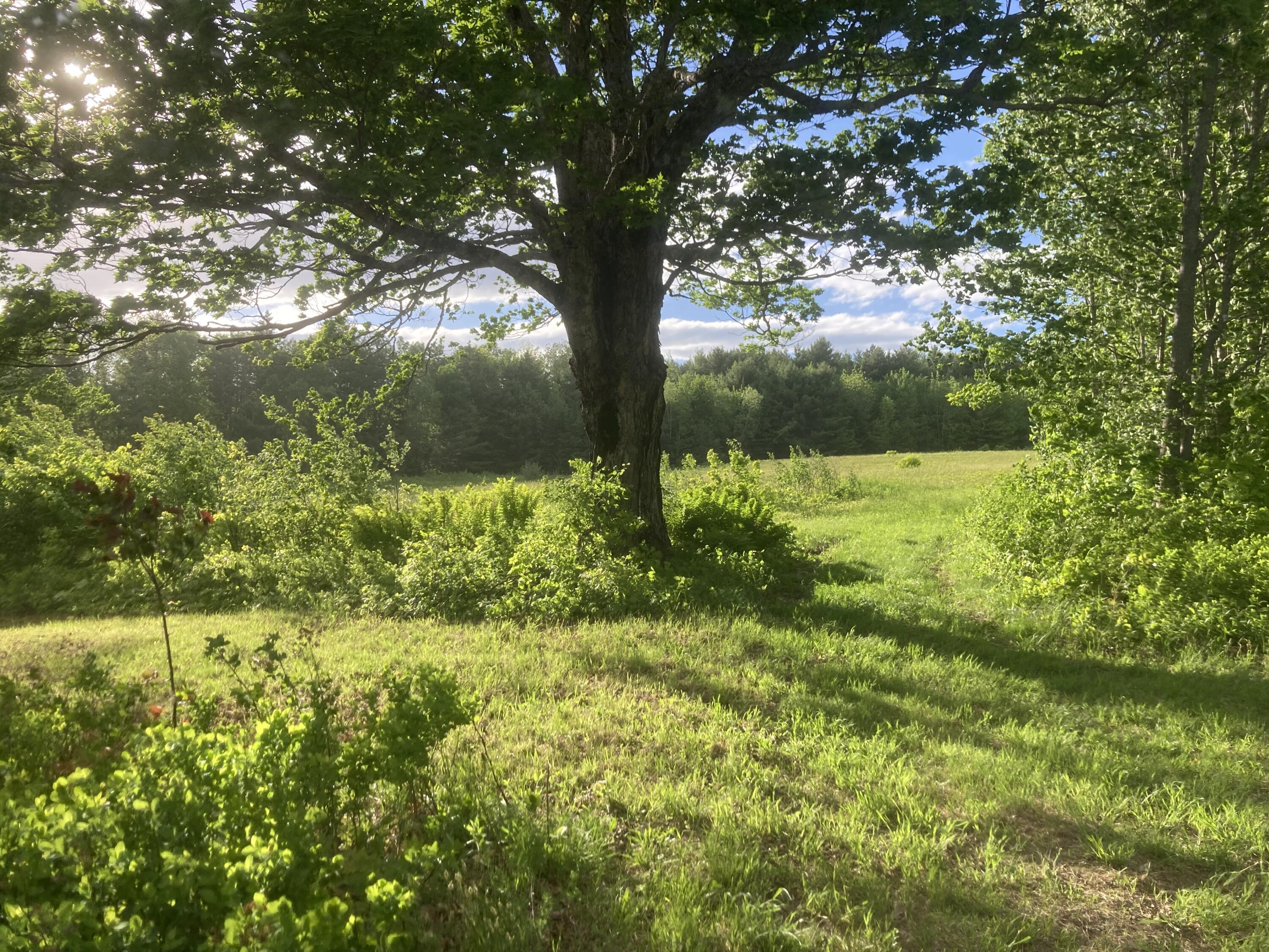 153 Holmes Road Dover-foxcroft ME 04426