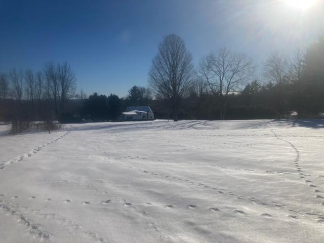 153 Holmes Road Dover-foxcroft ME 04426