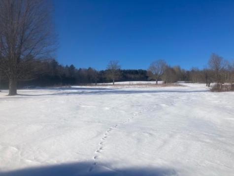 153 Holmes Road Dover-foxcroft ME 04426