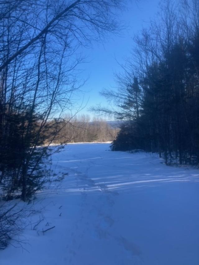 153 Holmes Road Dover-foxcroft ME 04426