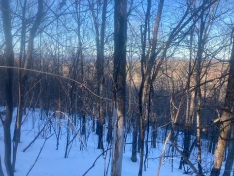 153 Holmes Road Dover-foxcroft ME 04426