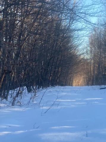 153 Holmes Road Dover-foxcroft ME 04426