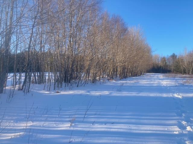 153 Holmes Road Dover-foxcroft ME 04426