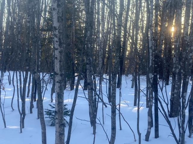 153 Holmes Road Dover-foxcroft ME 04426