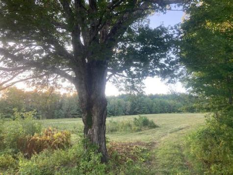 153 Holmes Road Dover-foxcroft ME 04426