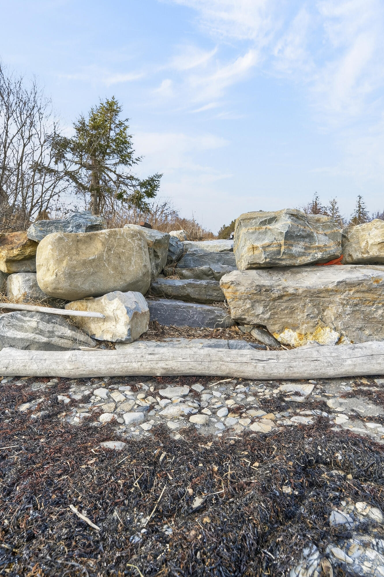8 Summer Street Searsport ME 04974