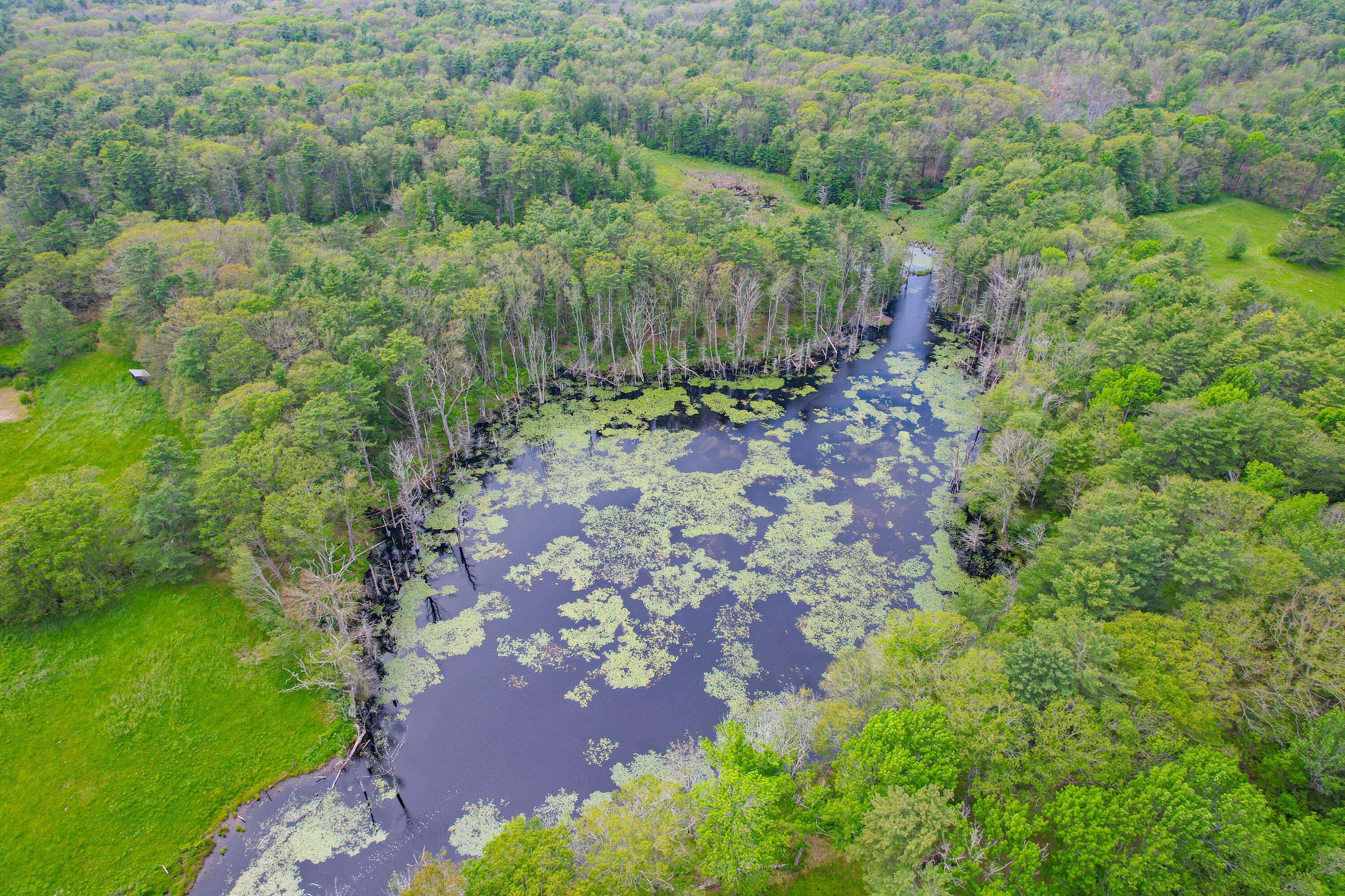 511 Main Road Phippsburg ME 04562
