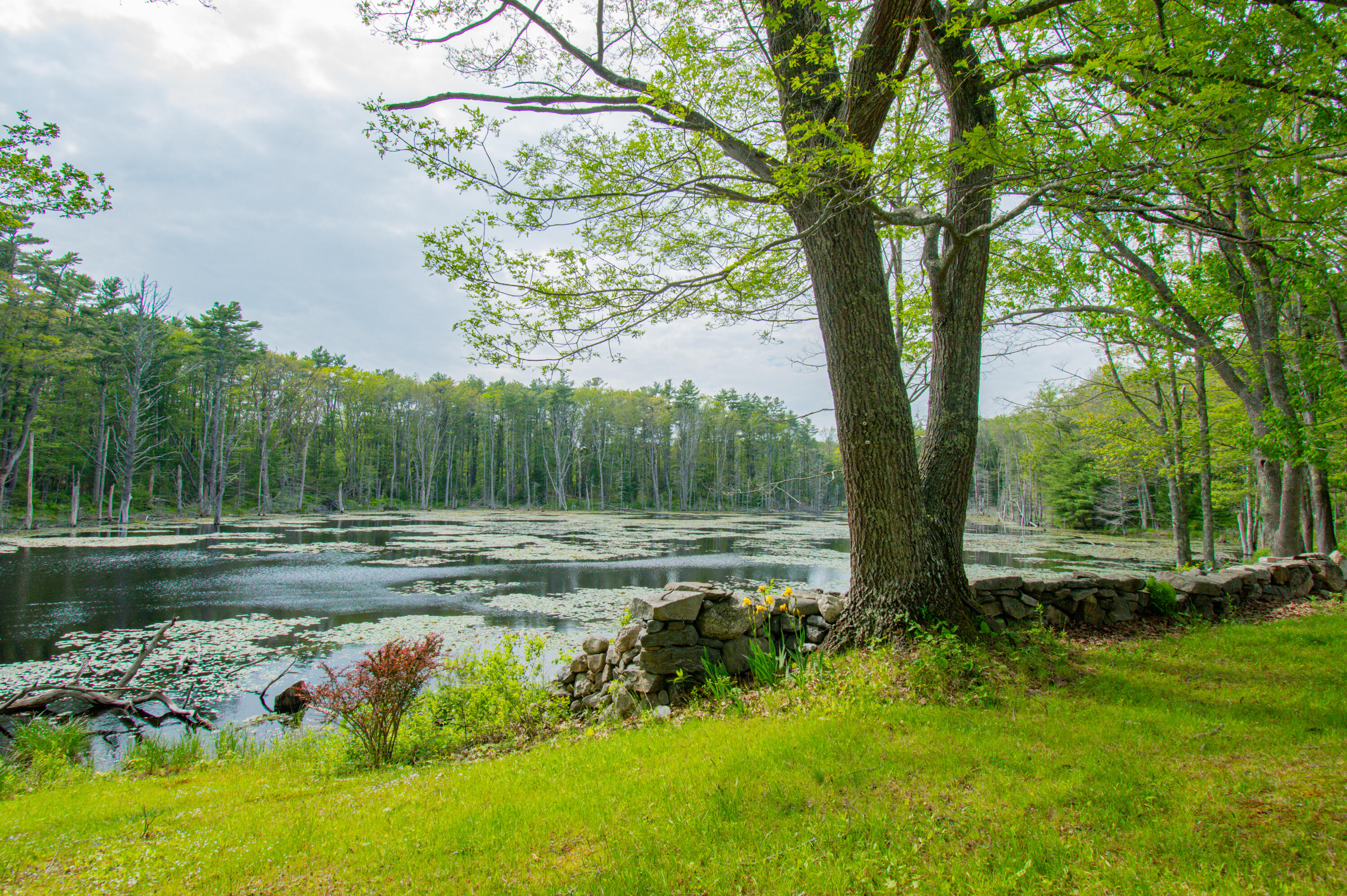 511 Main Road Phippsburg ME 04562