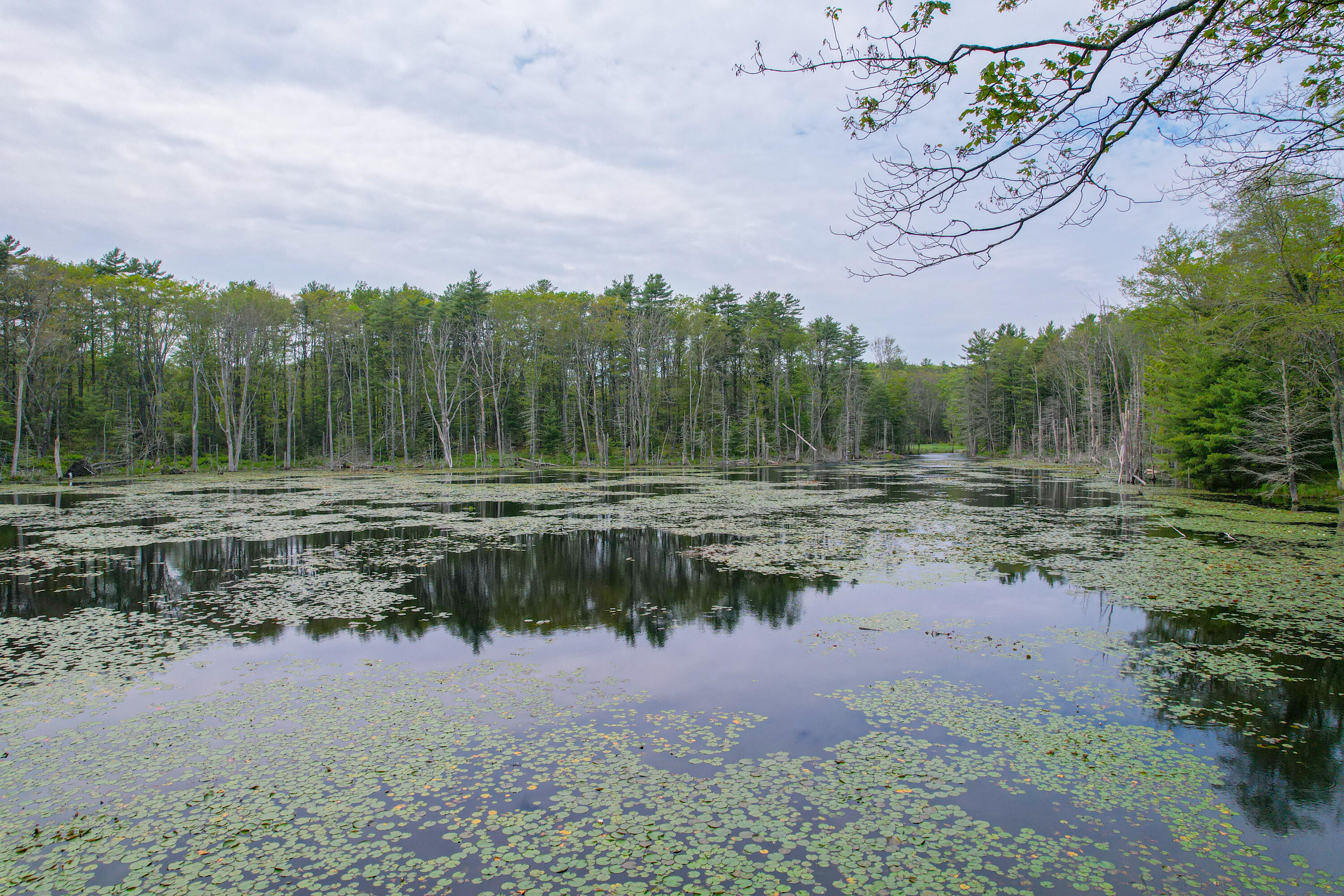 511 Main Road Phippsburg ME 04562