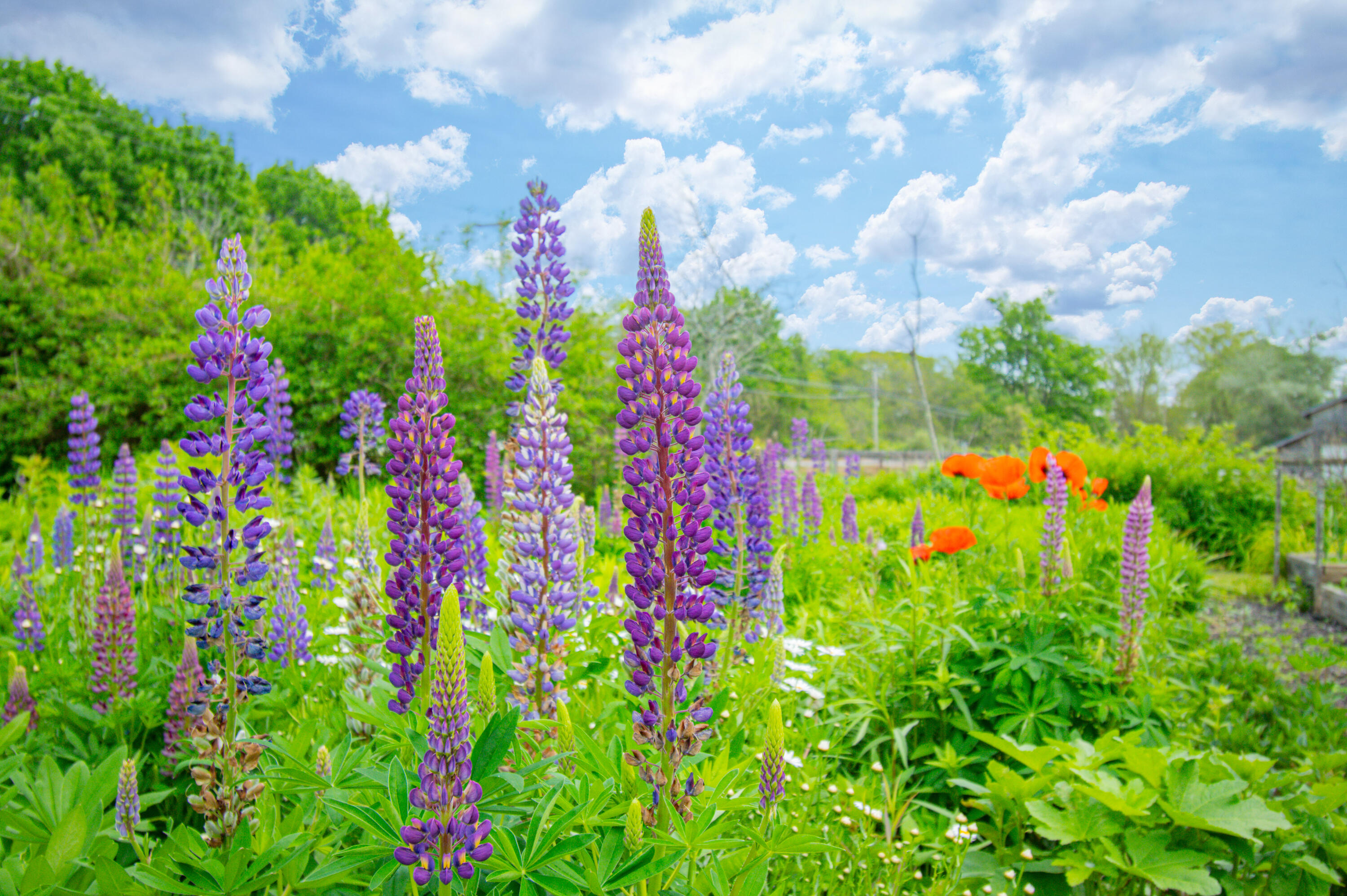 511 Main Road Phippsburg ME 04562