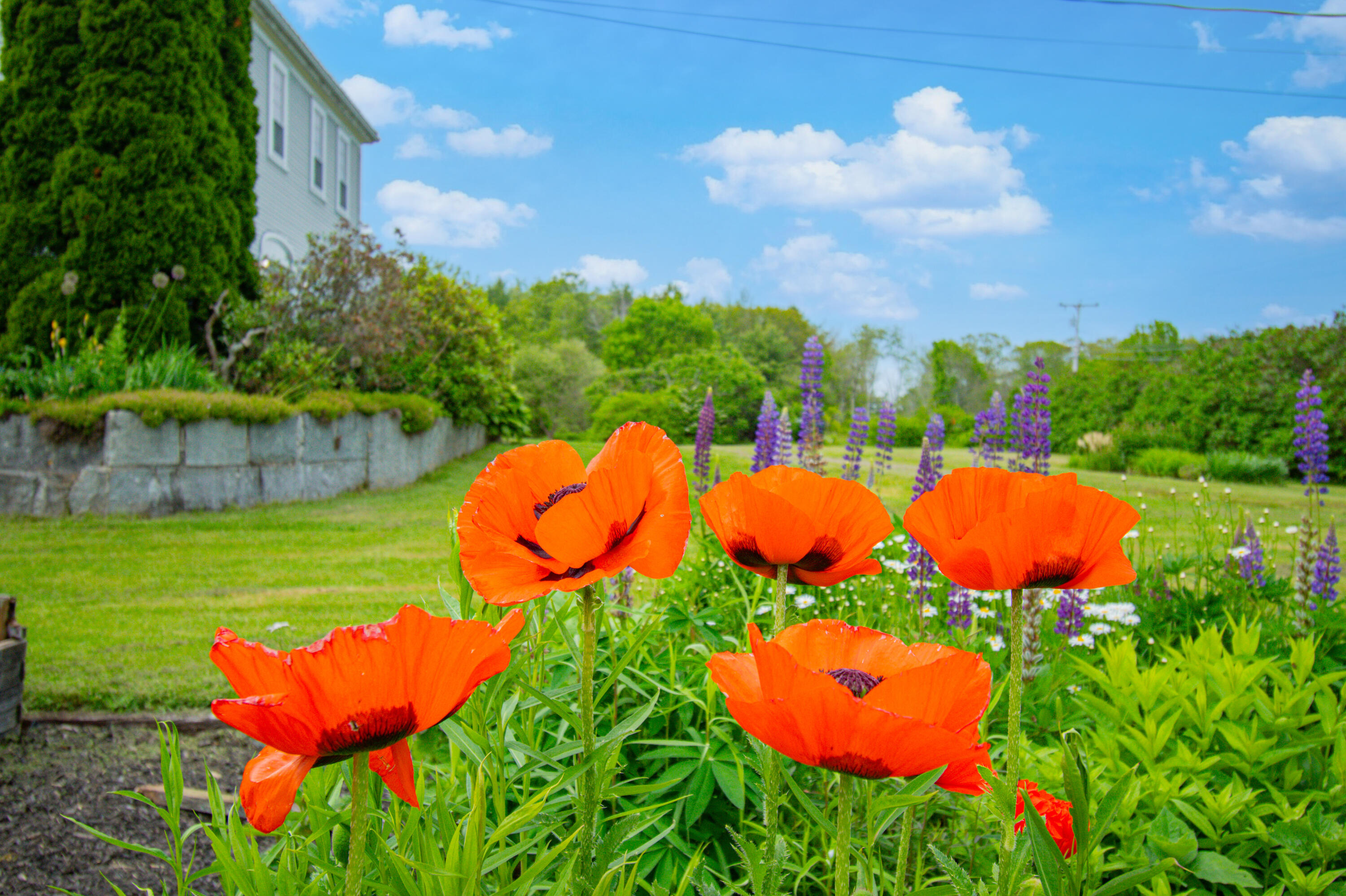 511 Main Road Phippsburg ME 04562