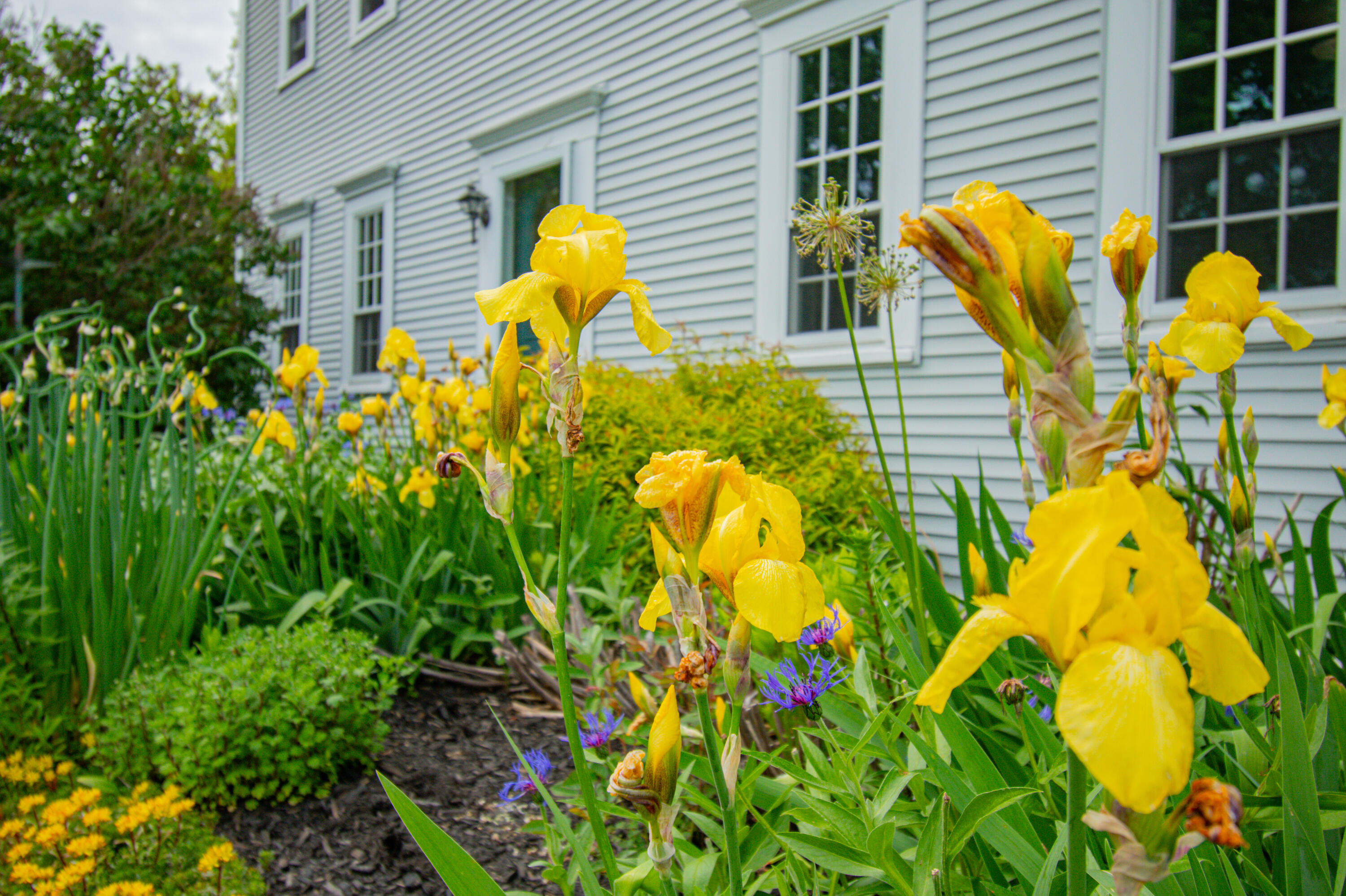 511 Main Road Phippsburg ME 04562