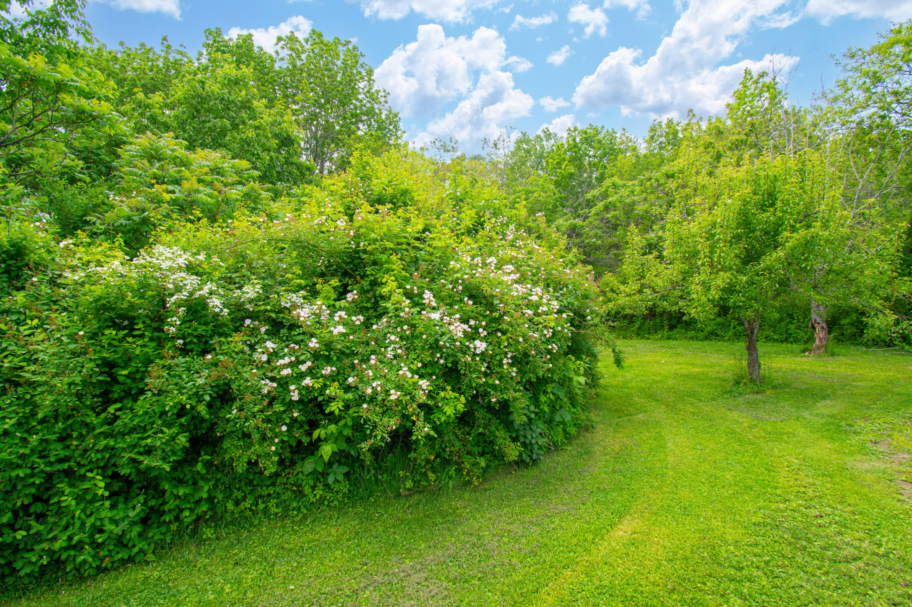 511 Main Road Phippsburg ME 04562