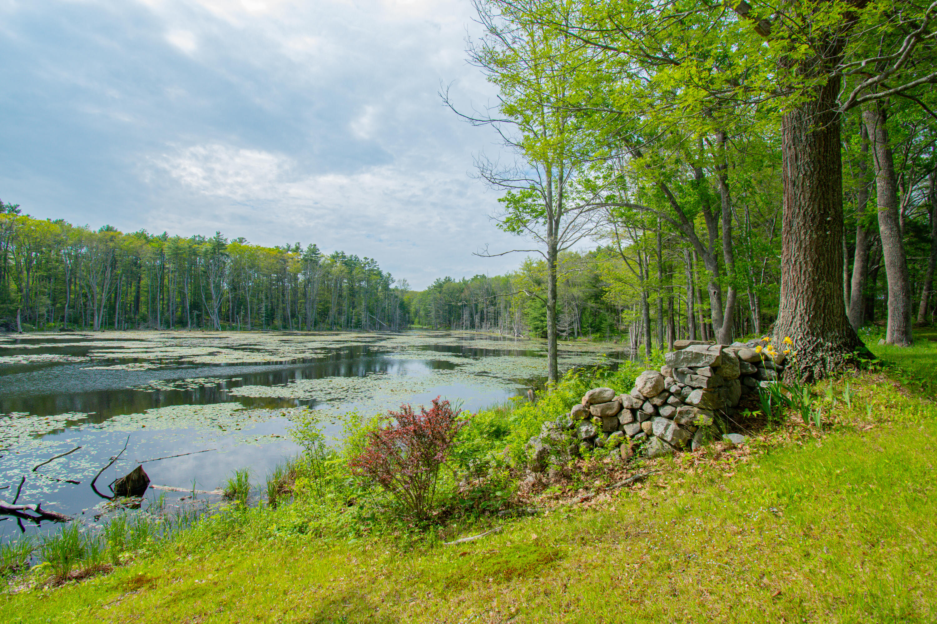 511 Main Road Phippsburg ME 04562