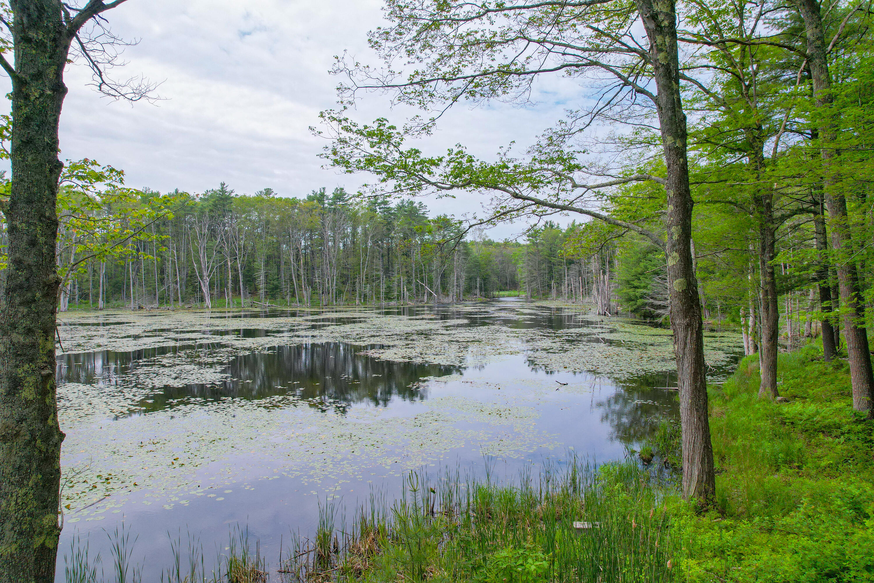 511 Main Road Phippsburg ME 04562