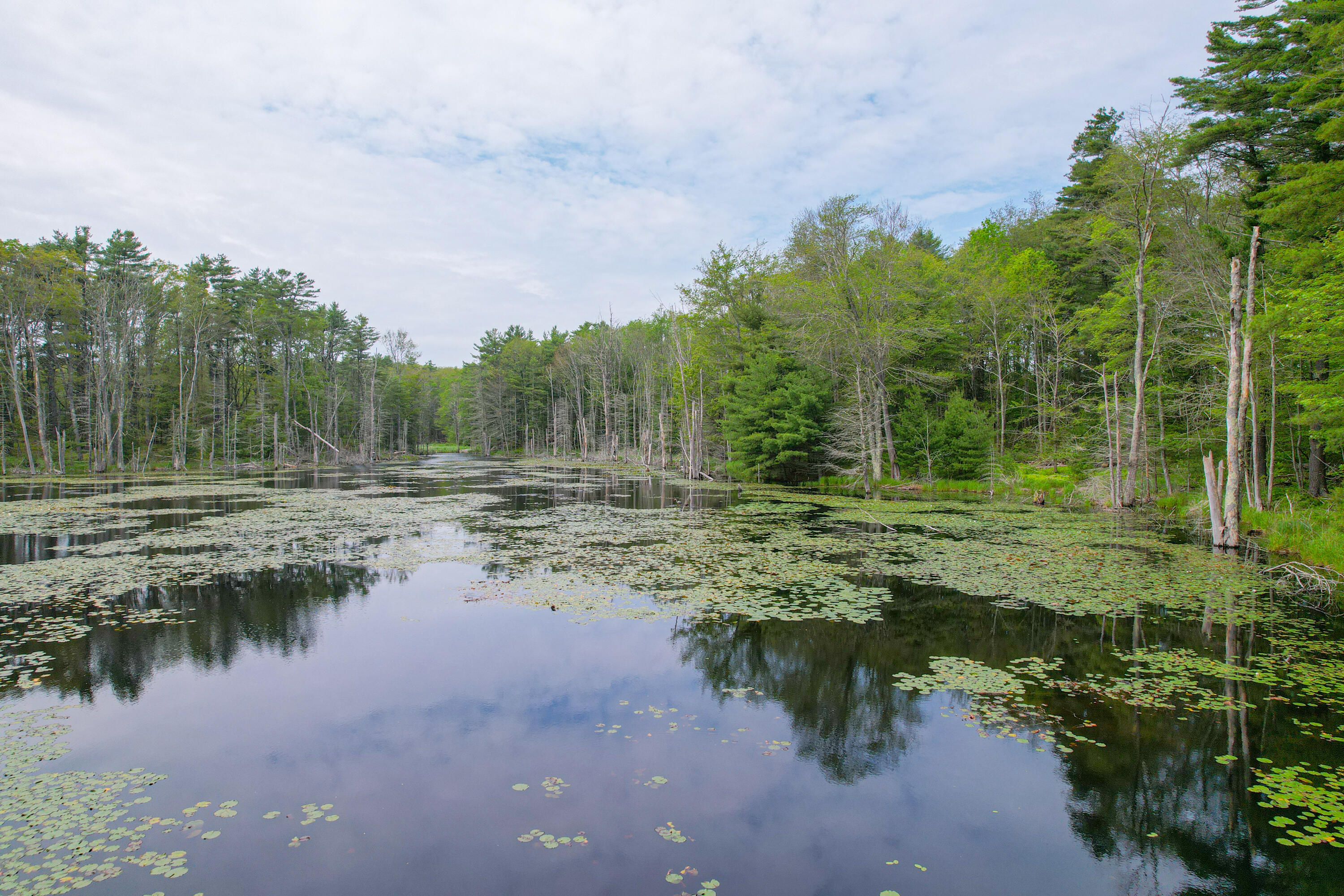 511 Main Road Phippsburg ME 04562