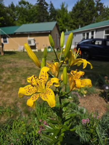 7 Christmas Cove Road Crawford ME 04694