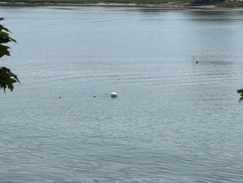 14 Serenity Drive Harpswell ME 04079