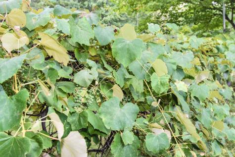 114 Grant Road Durham ME 04222