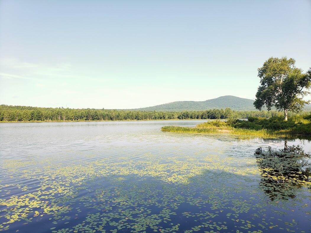 729 Ebeemee Lake Road Ebeemee Twp ME 04414