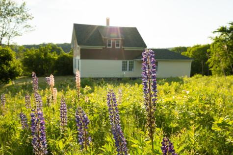 16 Willey District Road Cherryfield ME 04622