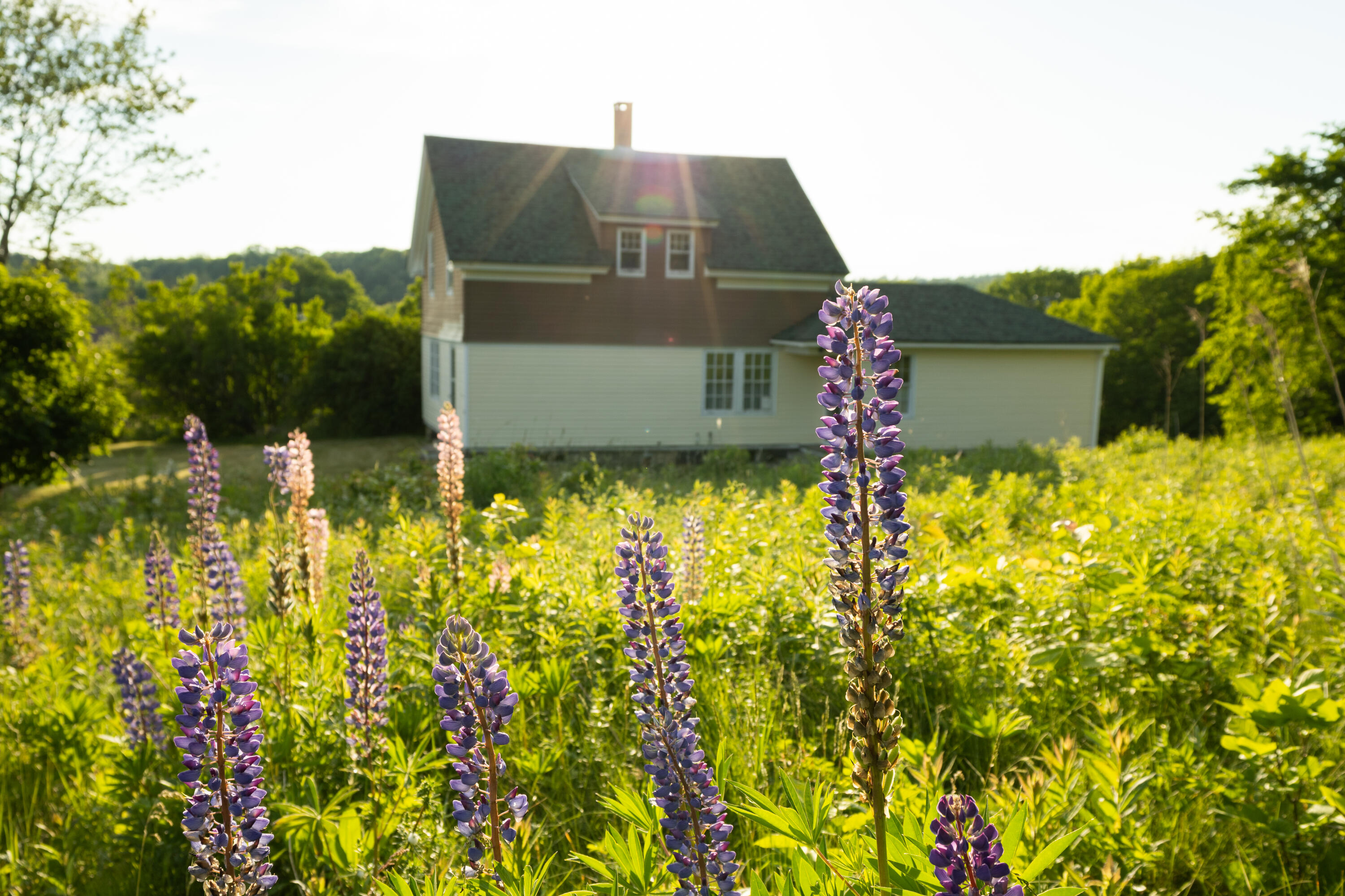 16 Willey District Road Cherryfield ME 04622