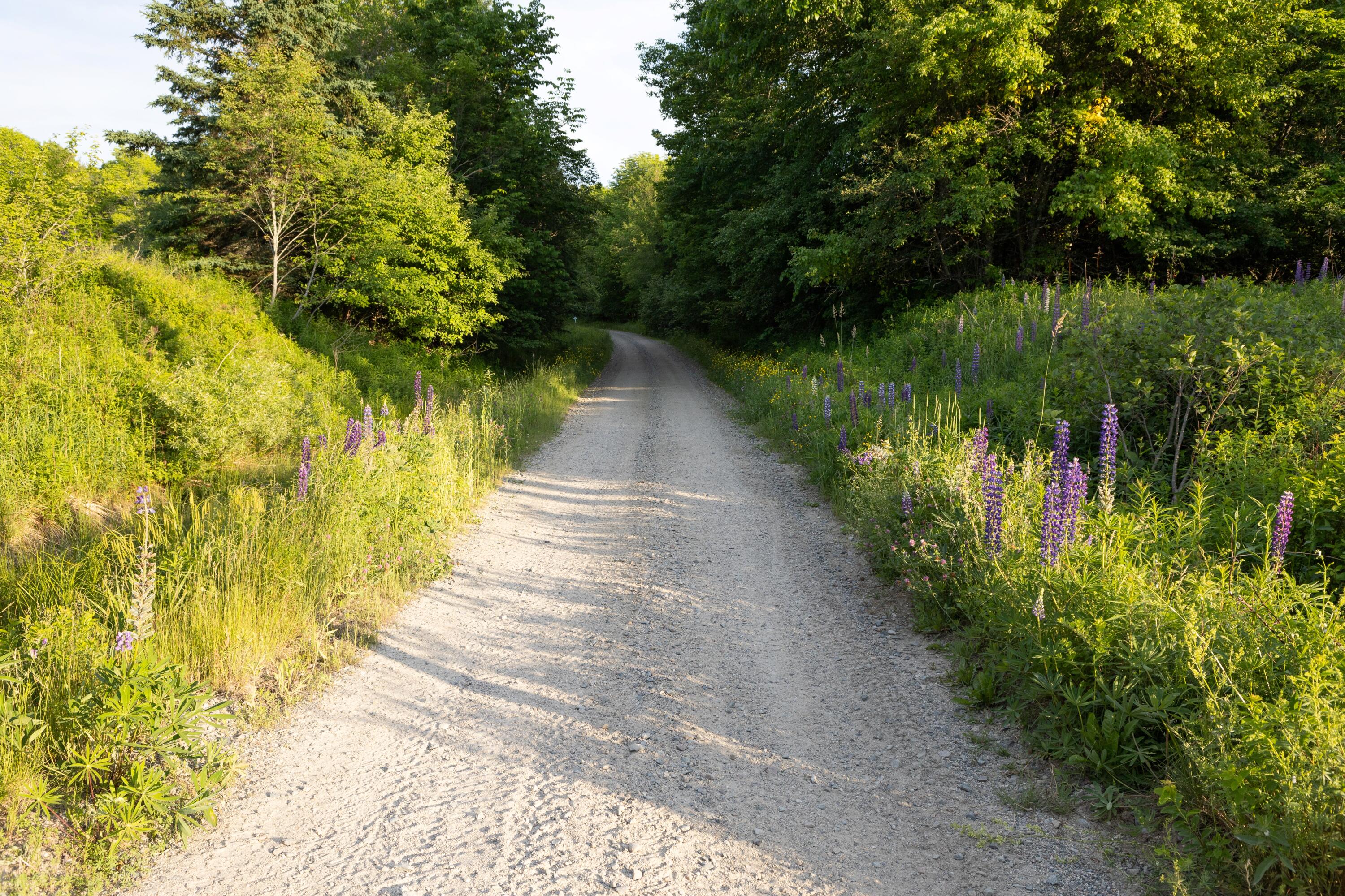 16 Willey District Road Cherryfield ME 04622