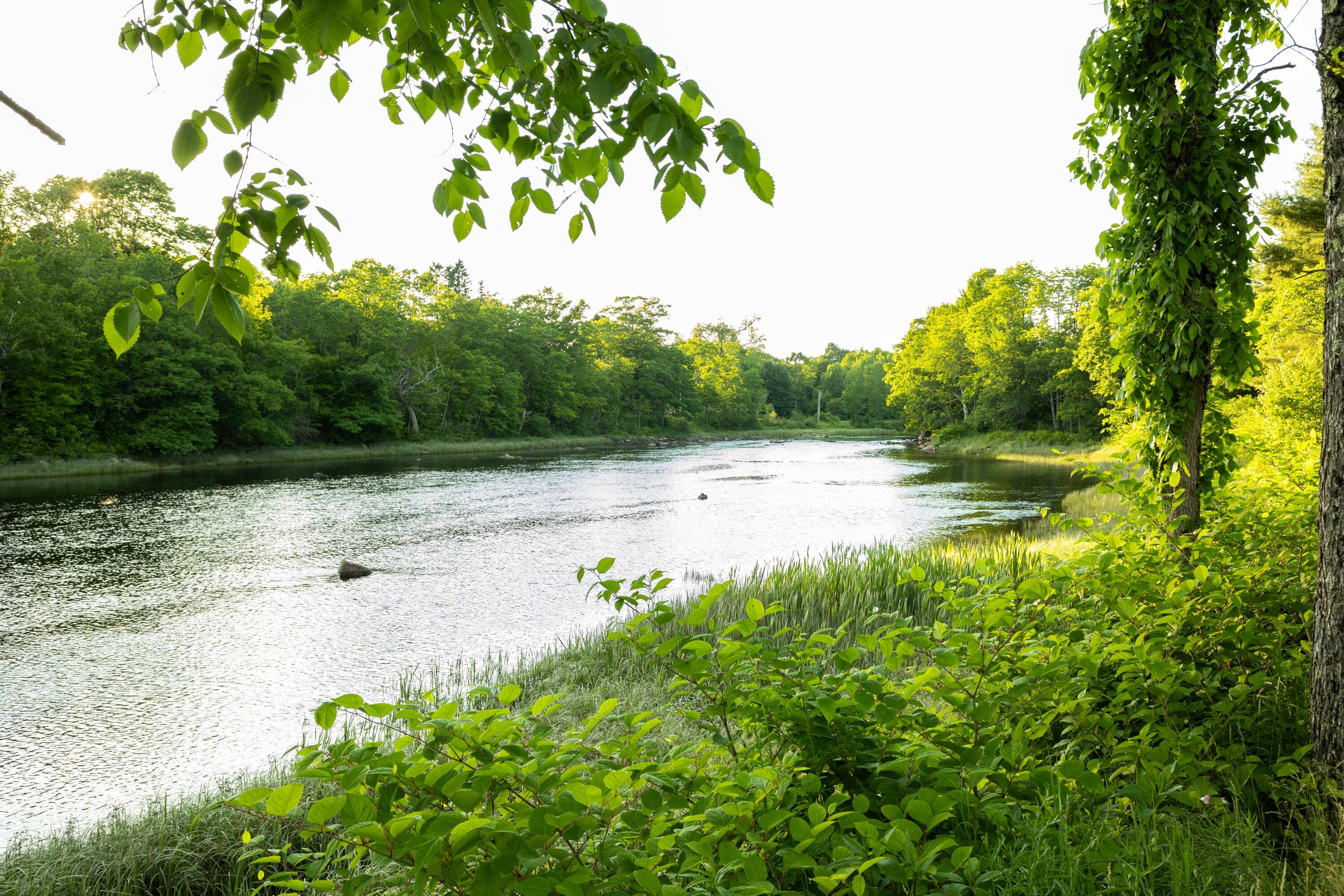 16 Willey District Road Cherryfield ME 04622