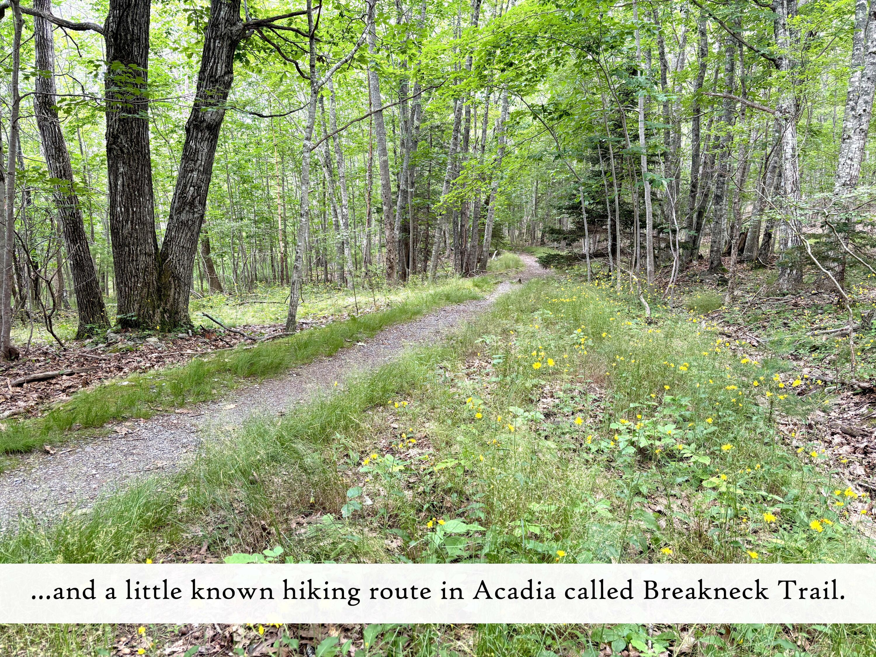 18 Hamor Lane Bar Harbor ME 04609