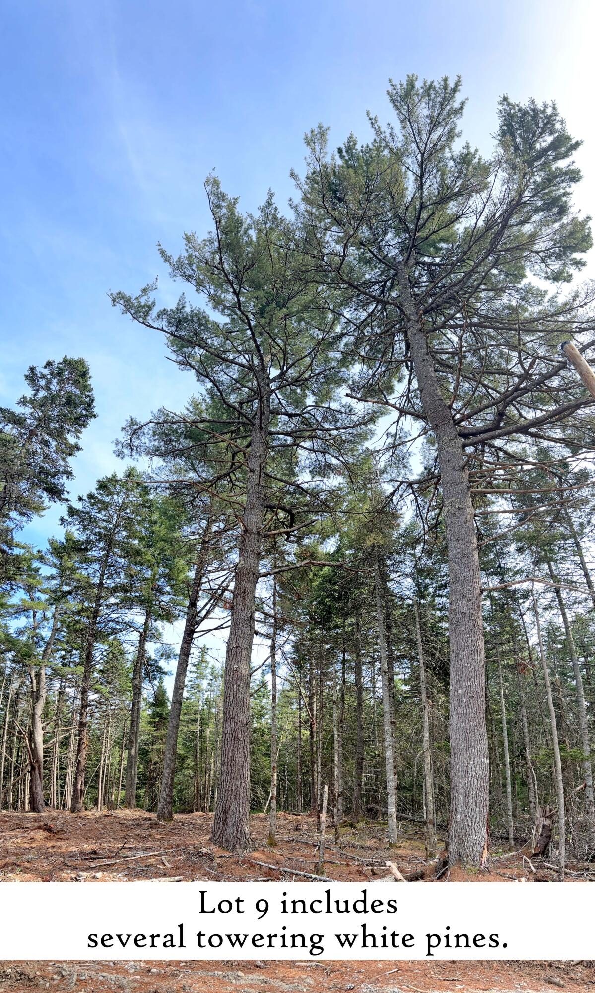 18 Hamor Lane Bar Harbor ME 04609