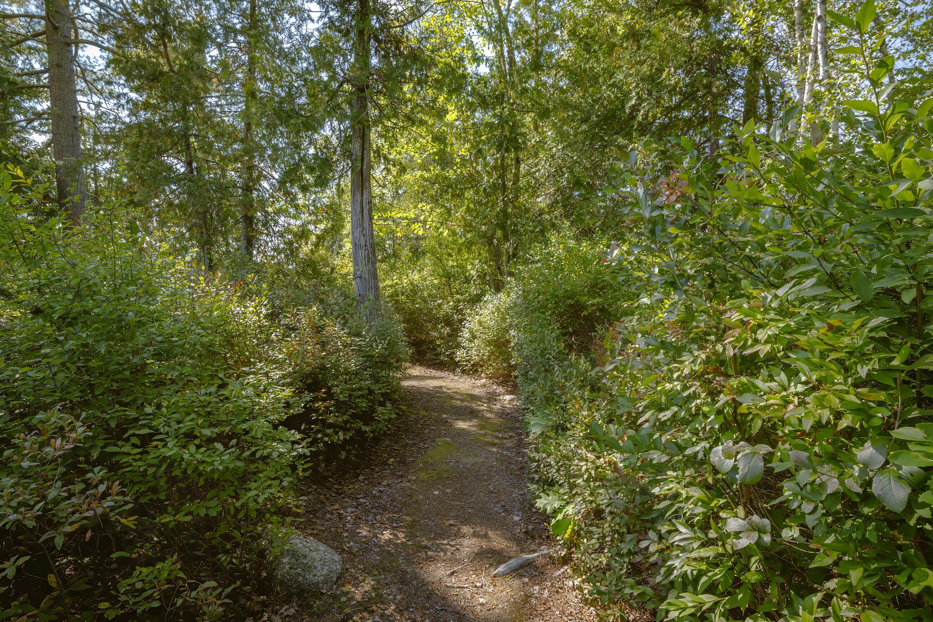 769 Green Lake Road Dedham ME 04429