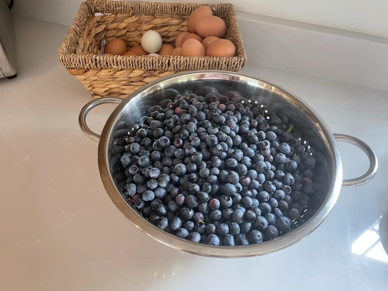 393 Sutherland Pond Road Sabattus ME 04280