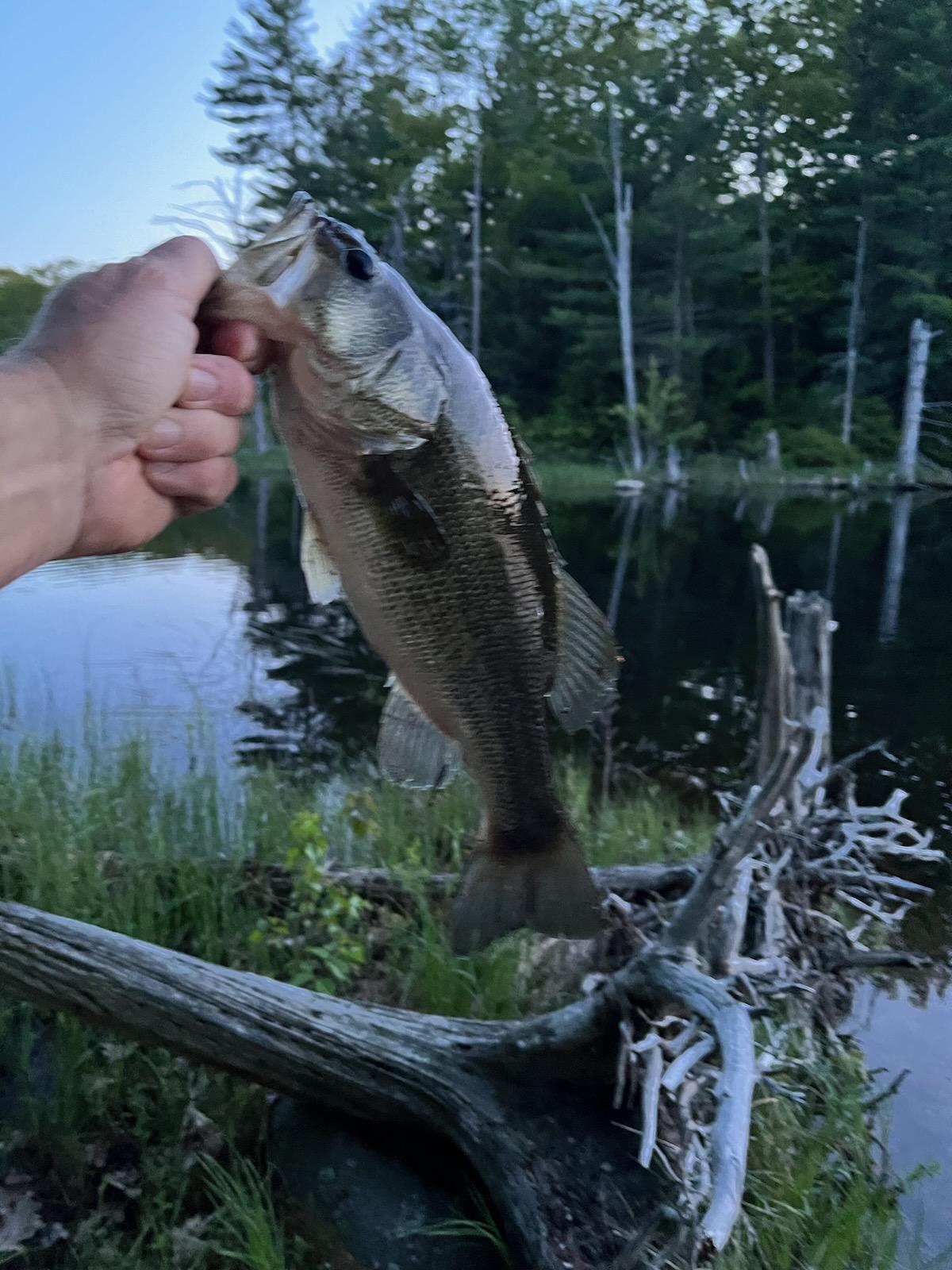 393 Sutherland Pond Road Sabattus ME 04280