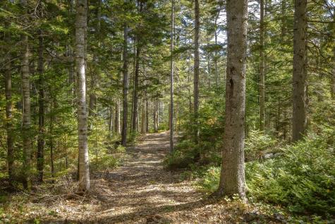 35 Brinton Road Sorrento ME 04677