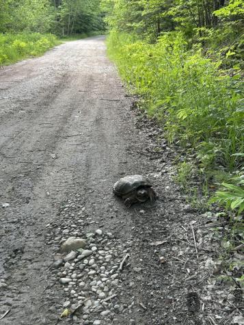 180 Lambert Road Skowhegan ME 04976