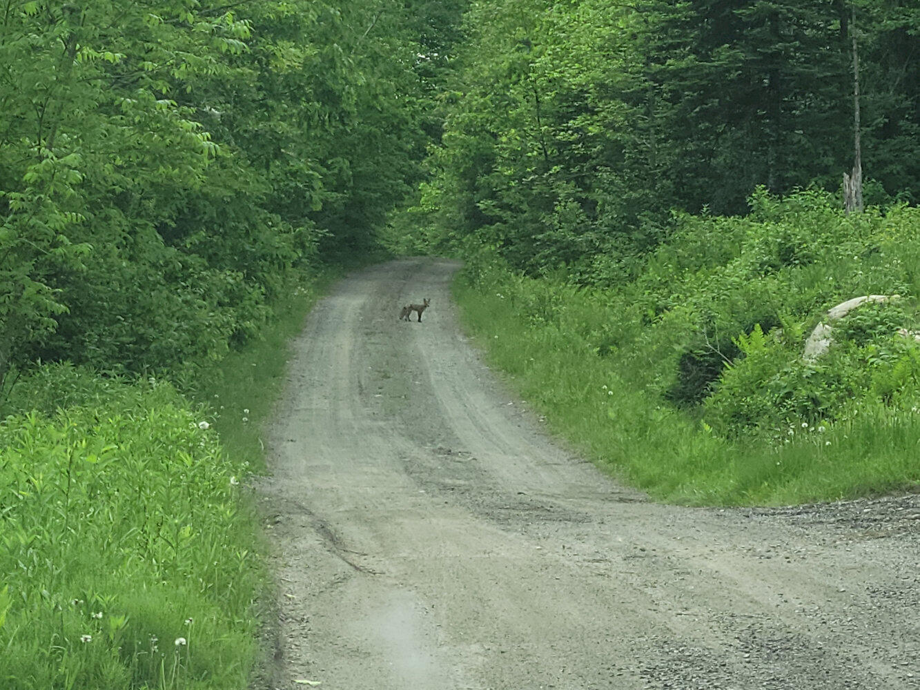 180 Lambert Road Skowhegan ME 04976