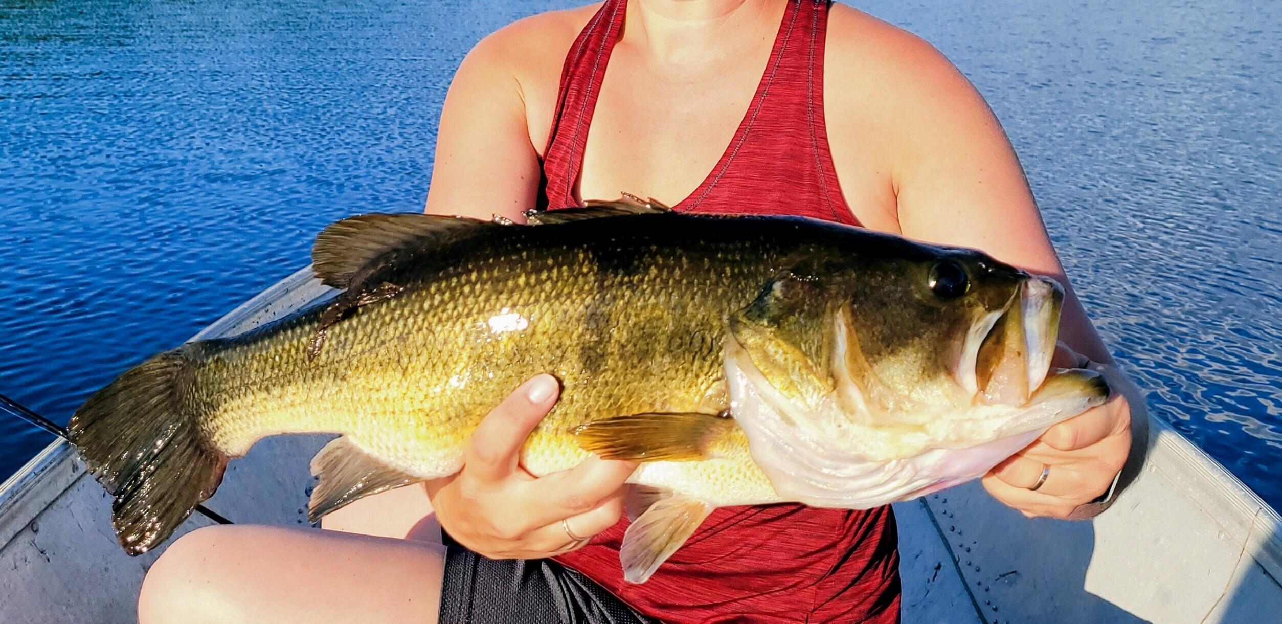 180 Lambert Road Skowhegan ME 04976