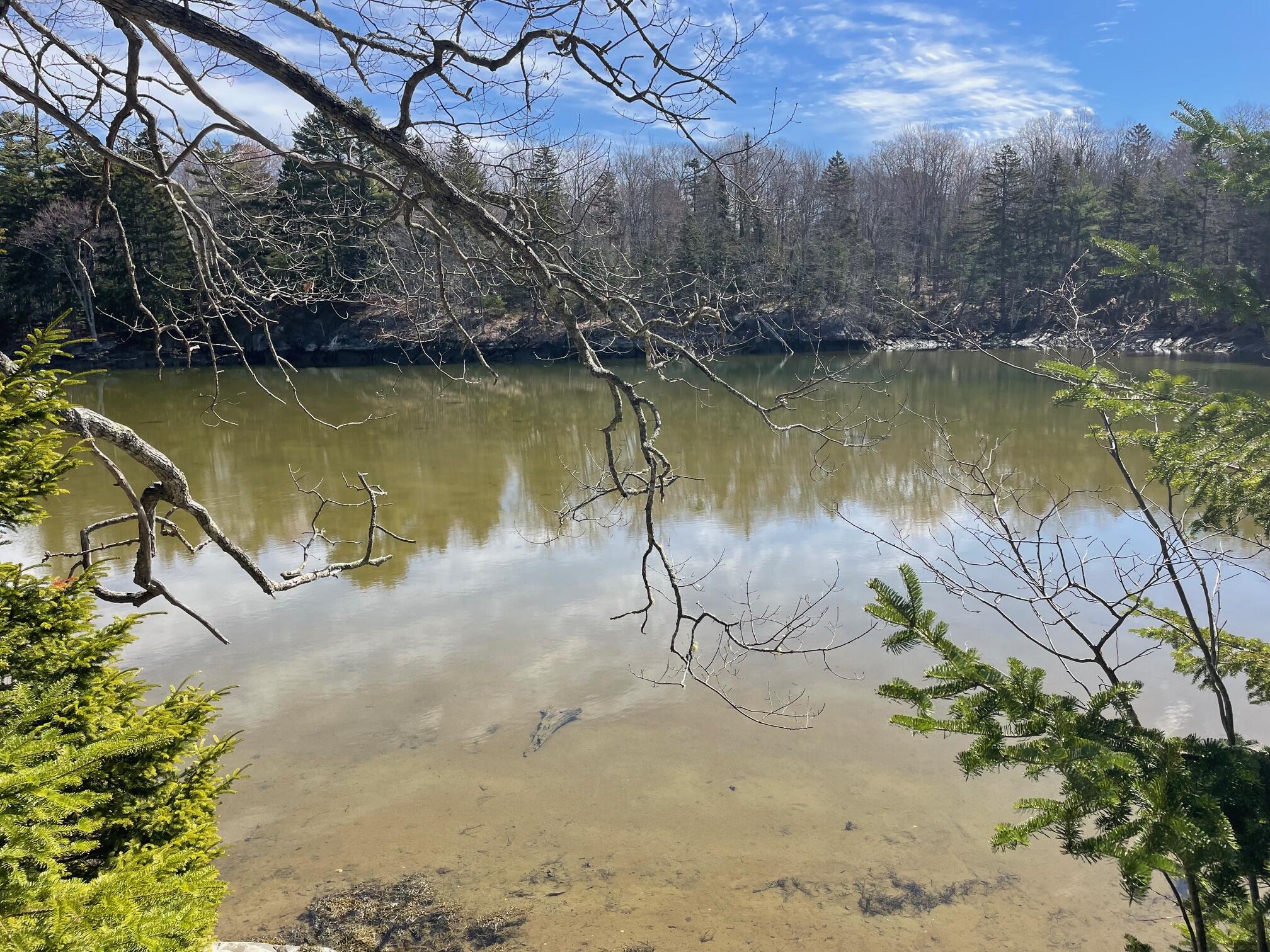 36 Ledgewood Drive Saint George ME 04860