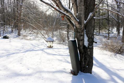 167 Lower Mills Road Madison ME 04950