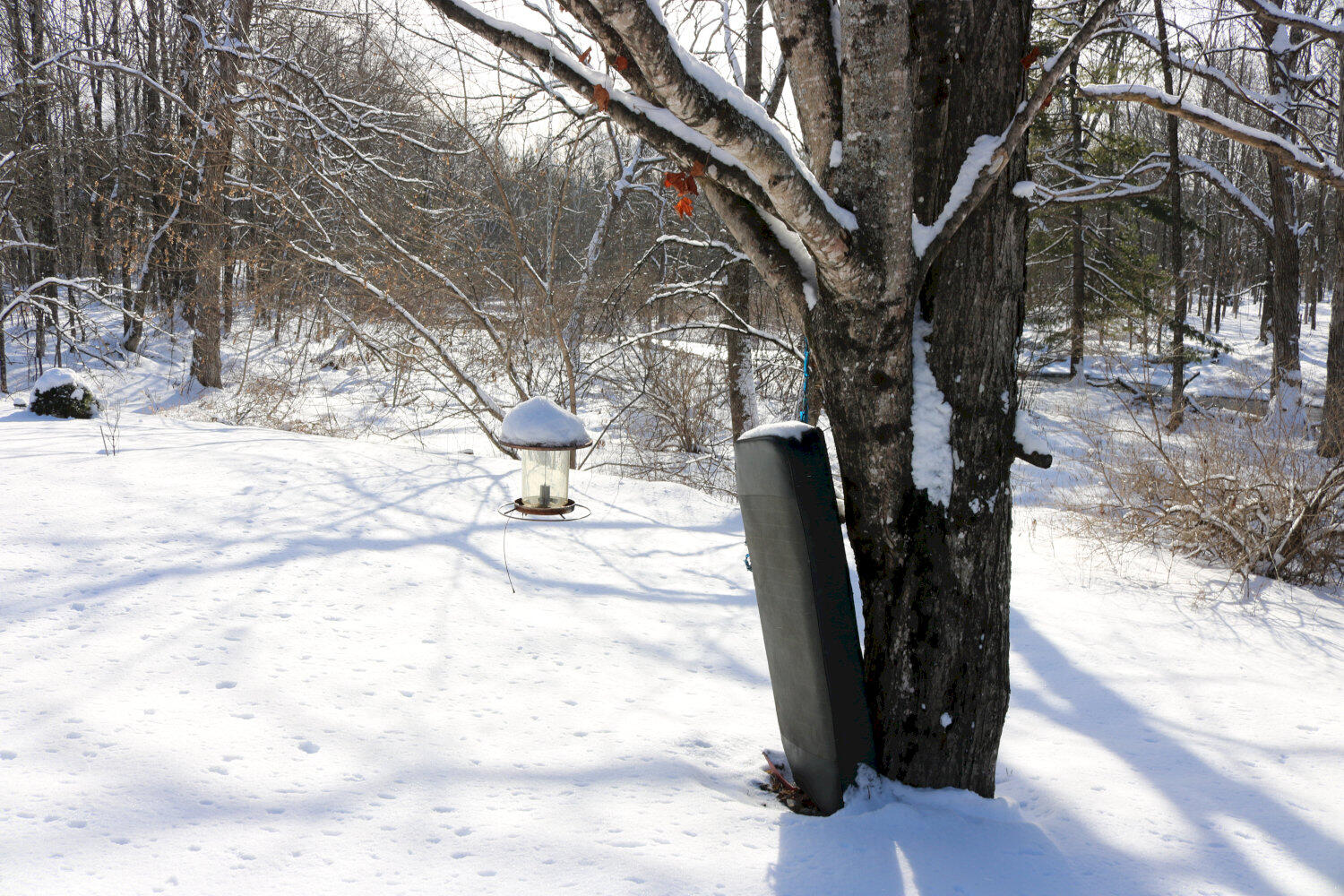 167 Lower Mills Road Madison ME 04950