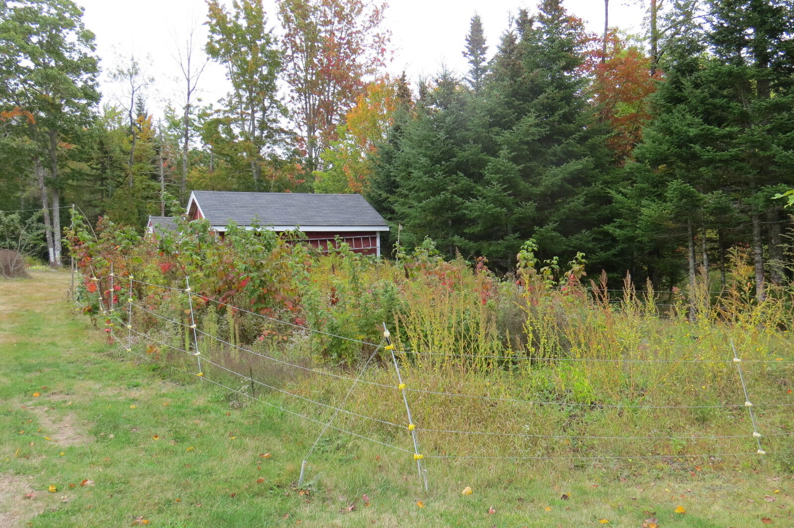 3 Morancy Road Sullivan ME 04664