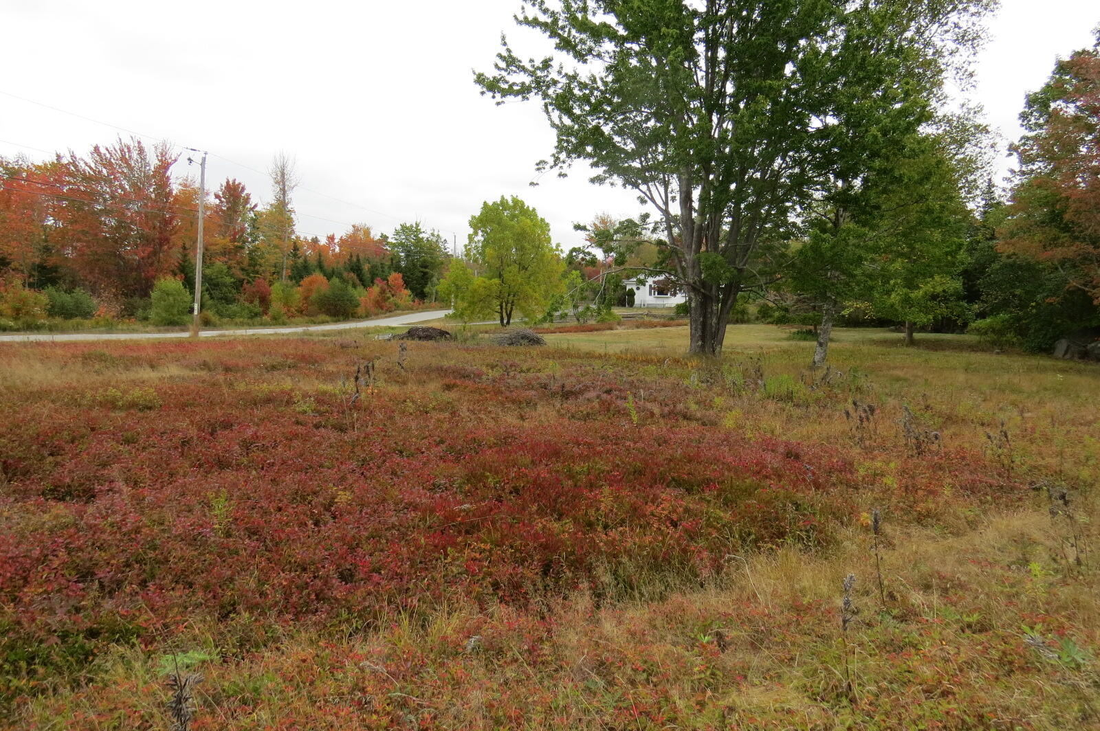 3 Morancy Road Sullivan ME 04664