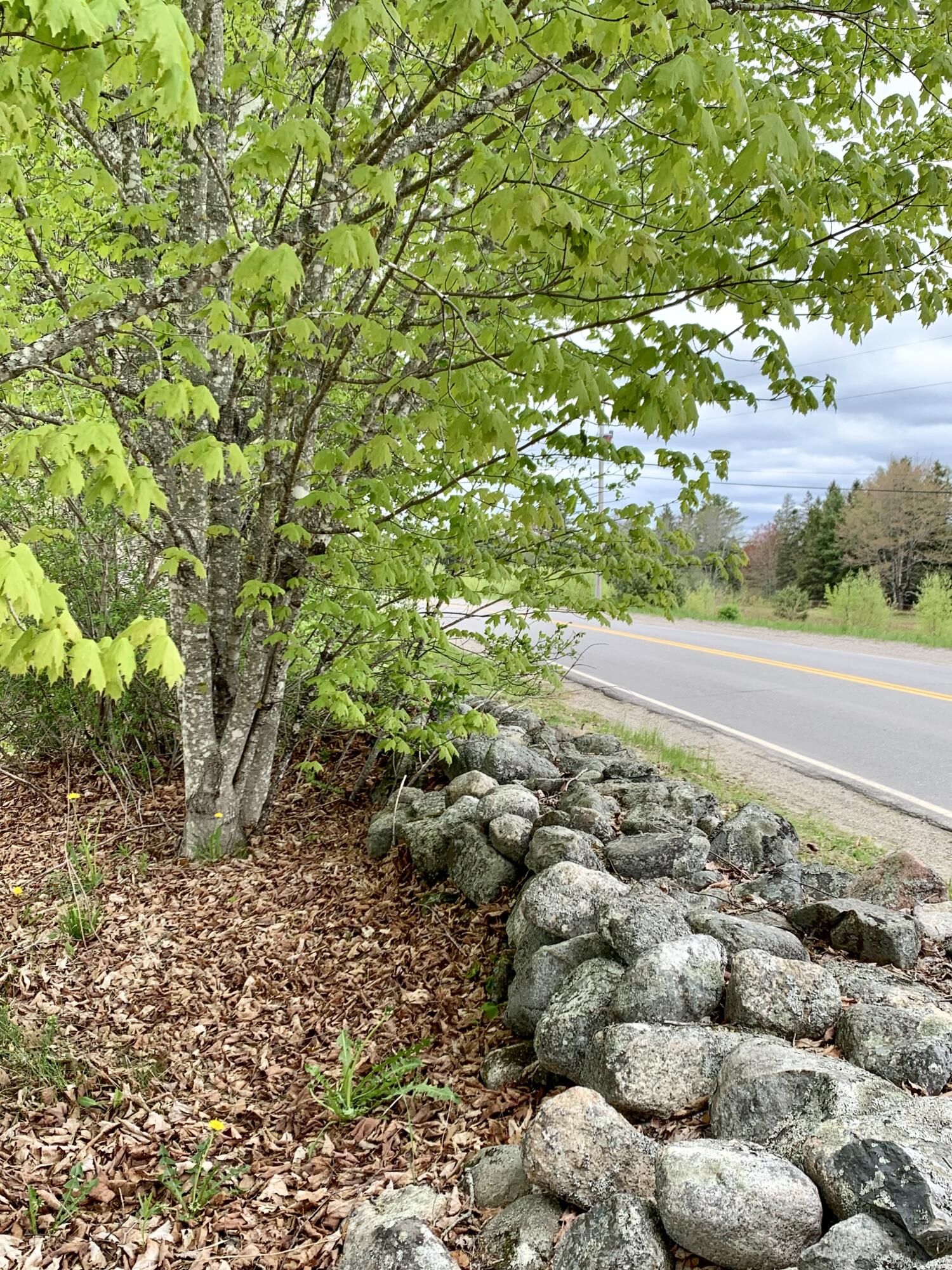 191 Route 191 N Route Cathance Twp ME 04630