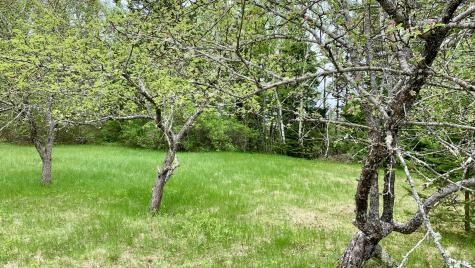 191 Route 191 N Route Cathance Twp ME 04630