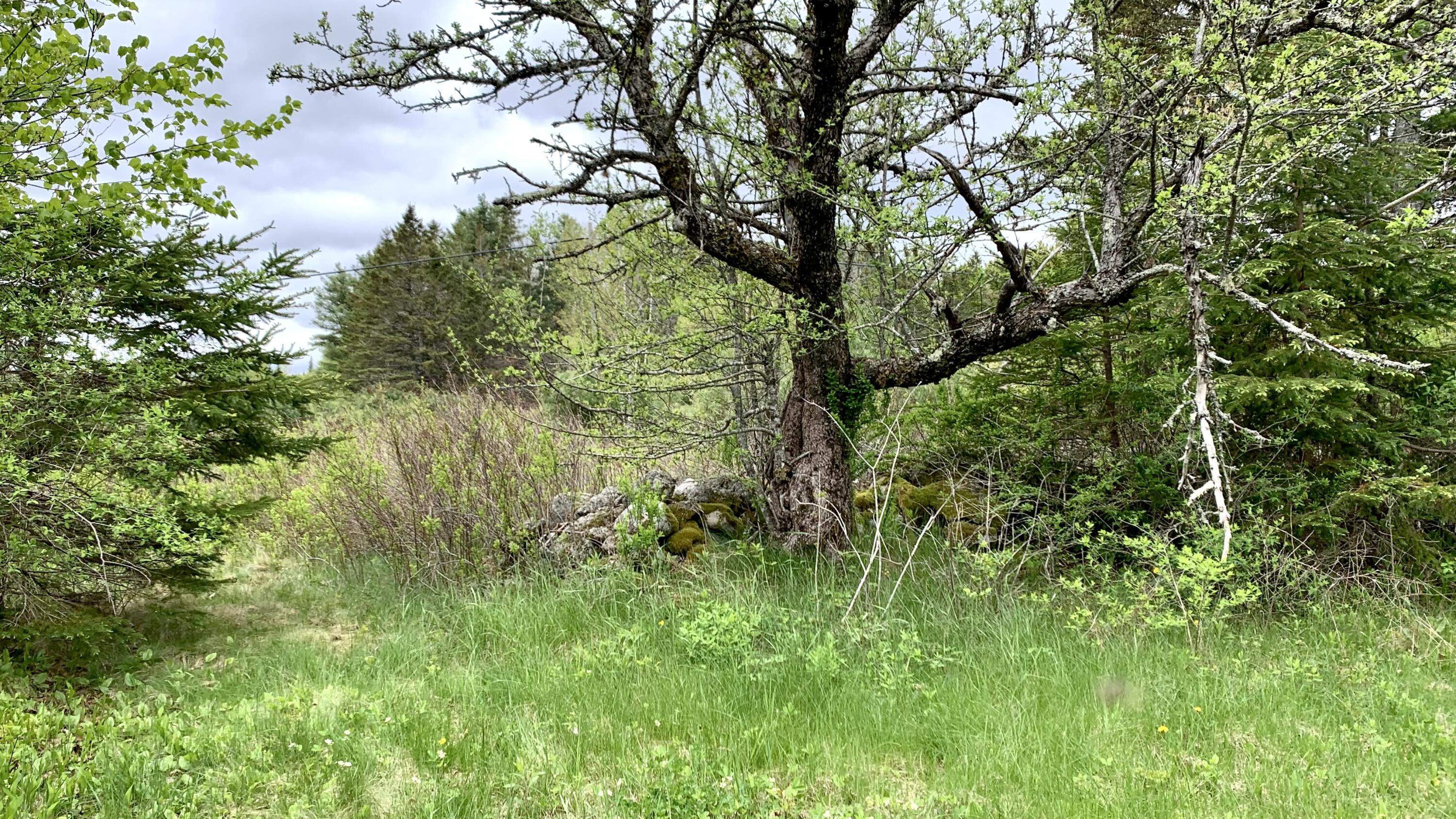 191 Route 191 N Route Cathance Twp ME 04630